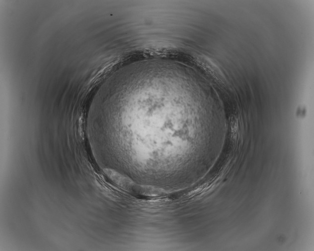 X0000090881060200707271306