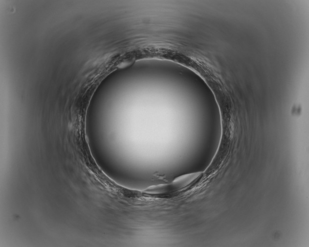 X0000090881061200707271306