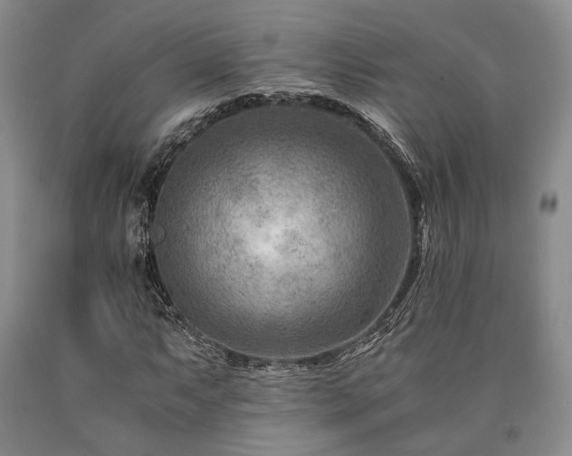 X0000090881063200707271306
