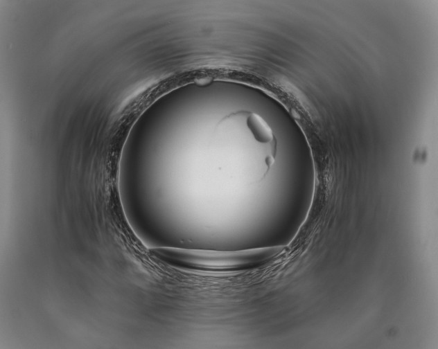 X0000090881064200707271306
