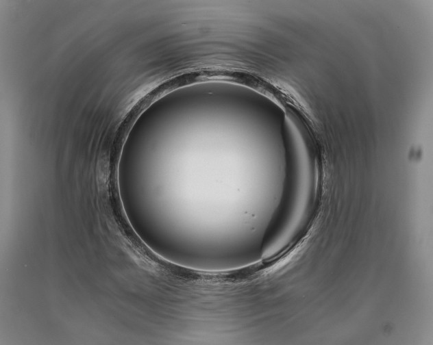 X0000090881065200707271306