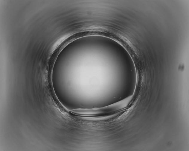 X0000090881066200707271306