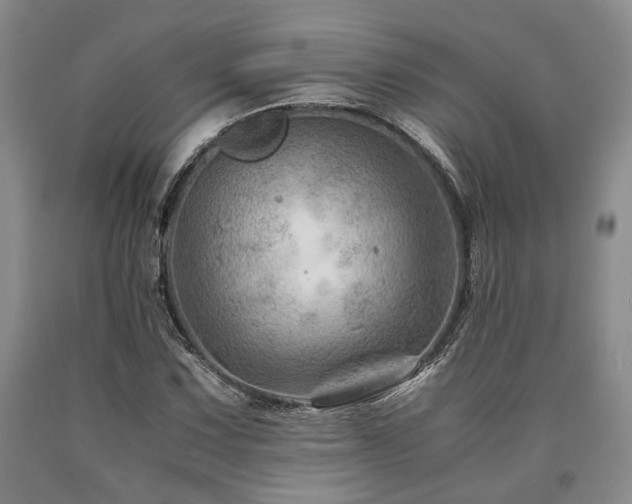 X0000090881067200707271306