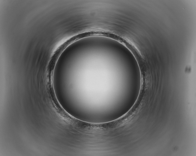 X0000090881070200707271306