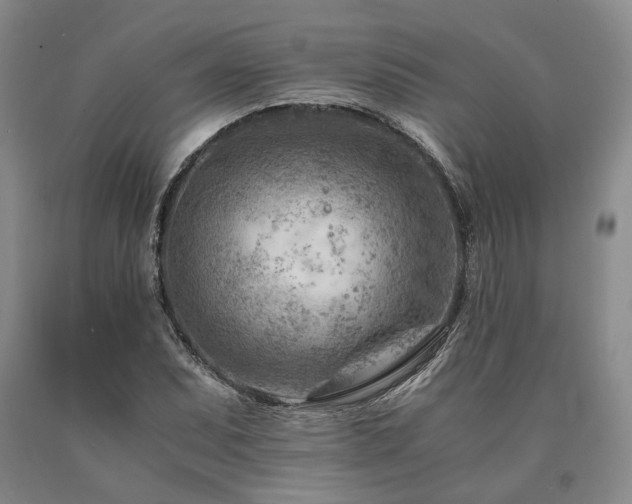 X0000090881071200707271306