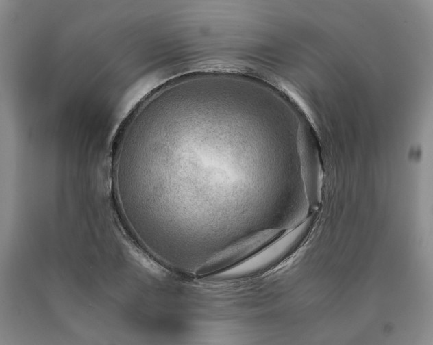 X0000090881075200707271306