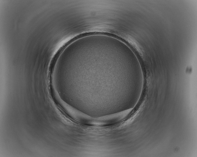 X0000090881077200707271306