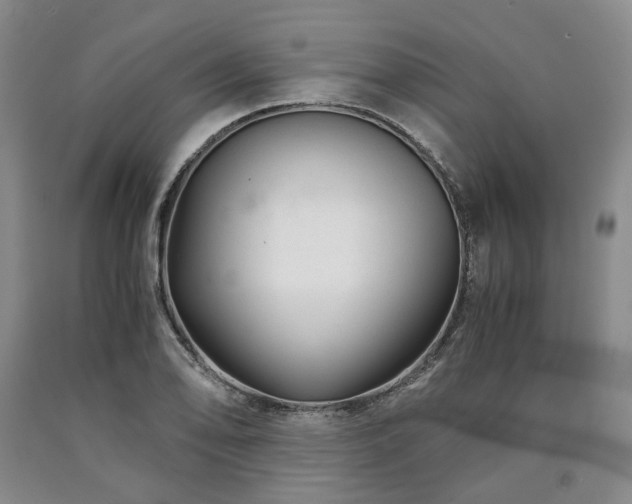 X0000090881078200707271306