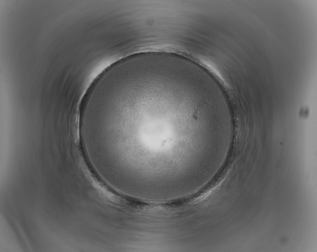 X0000090881079200707271306