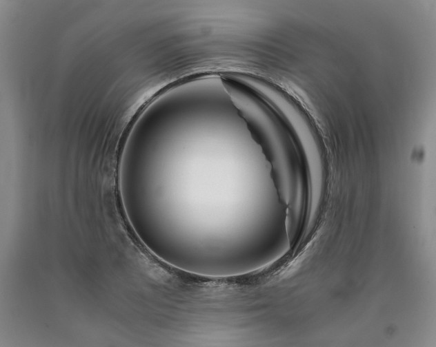 X0000090881081200707271306