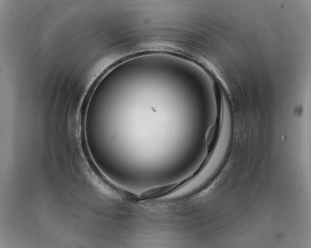 X0000090881082200707271306