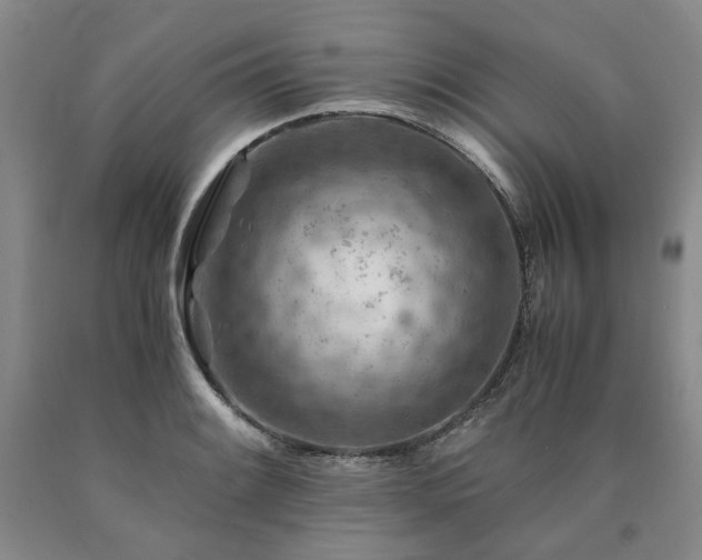 X0000090881084200707271306