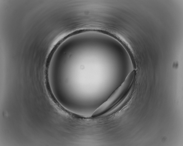 X0000090881085200707271306