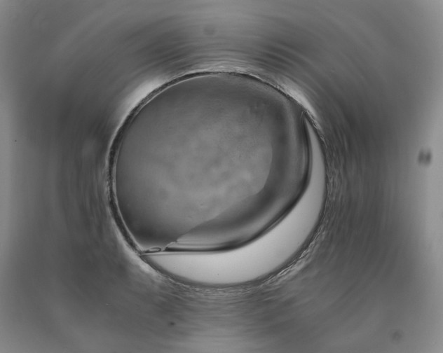 X0000090881087200707271306