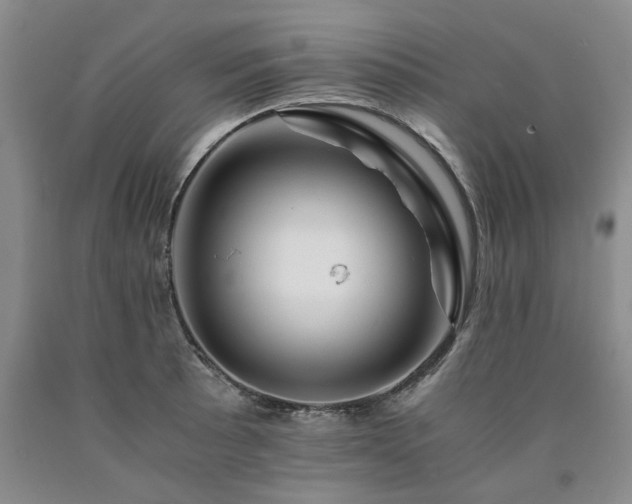 X0000090881089200707271306
