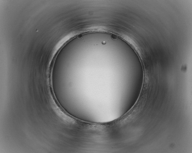 X0000090881090200707271306