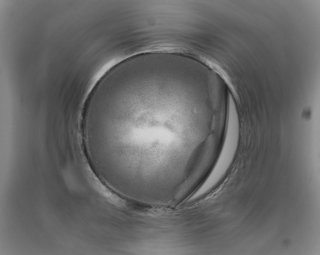 X0000090881091200707271306