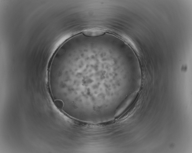 X0000090881095200707271306