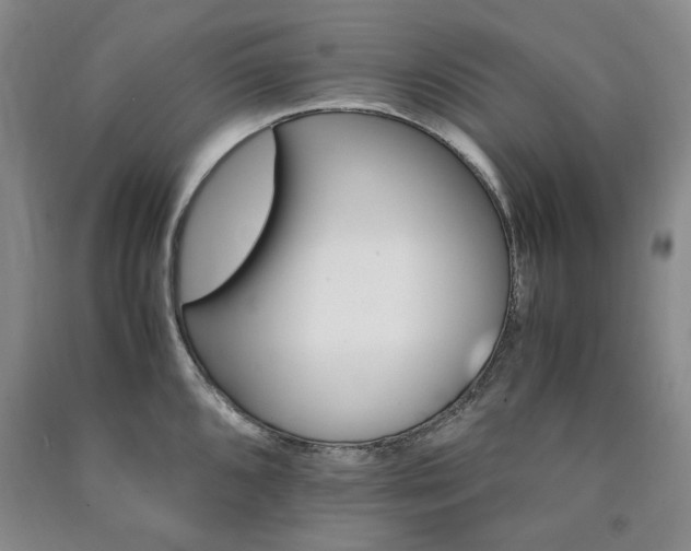 X0000090881096200707271306