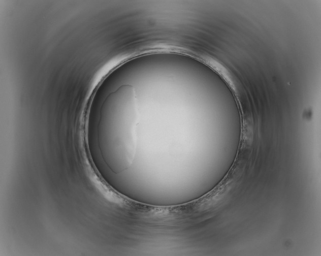X0000090881098200707271306