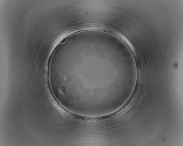X0000090881099200707271306