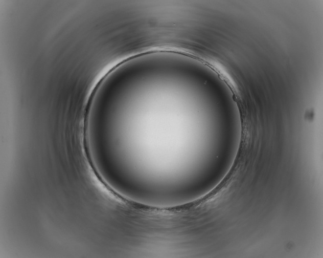 X0000090881100200707271306