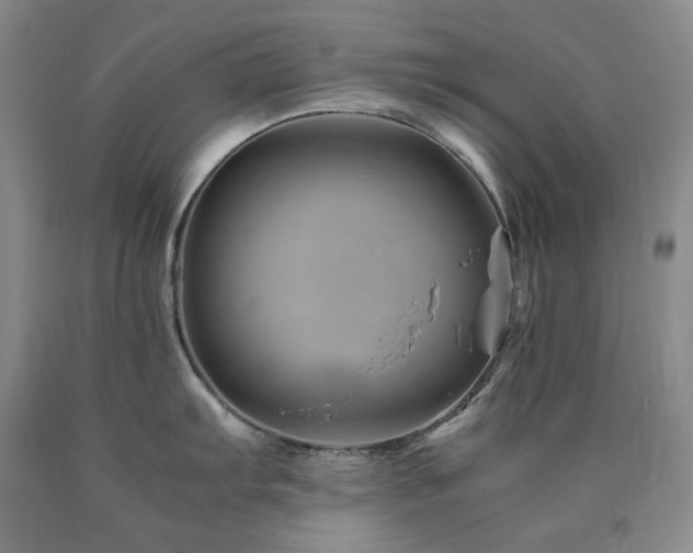 X0000090881103200707271306