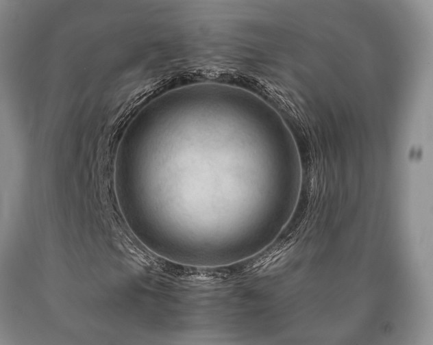X0000090881105200707271305