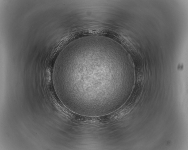 X0000090881106200707271305