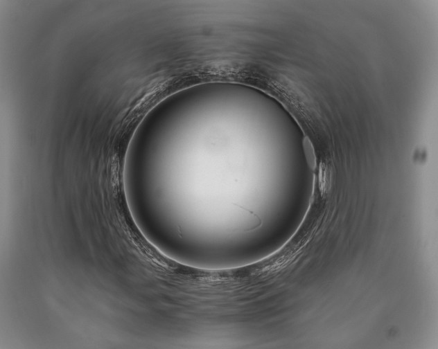 X0000090881107200707271305