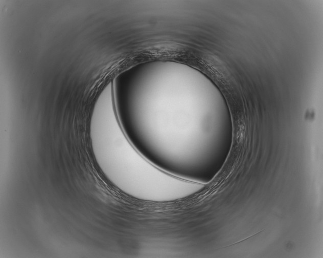 X0000090881108200707271305