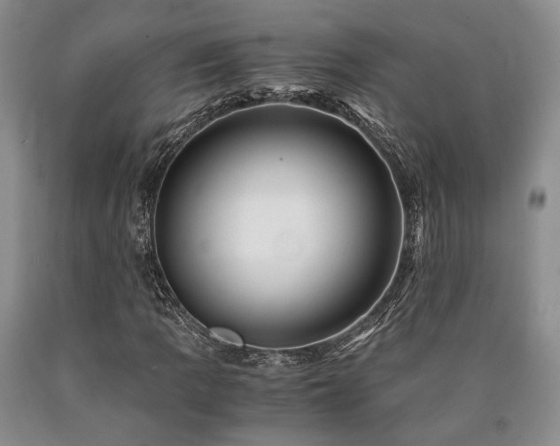 X0000090881109200707271305