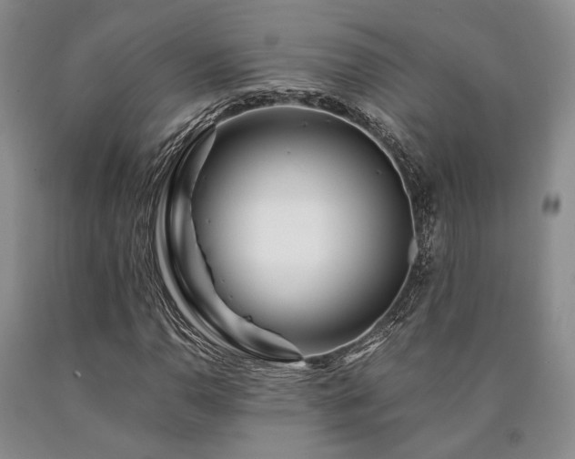X0000090881110200707271305