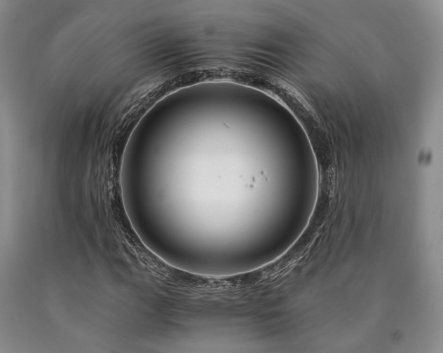 X0000090881111200707271305