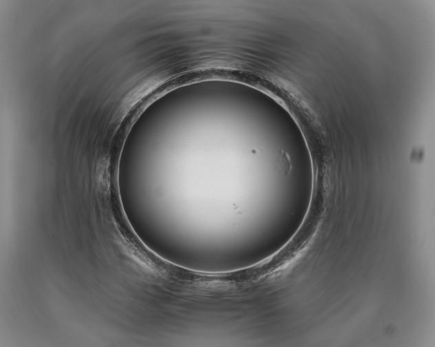X0000090881113200707271305