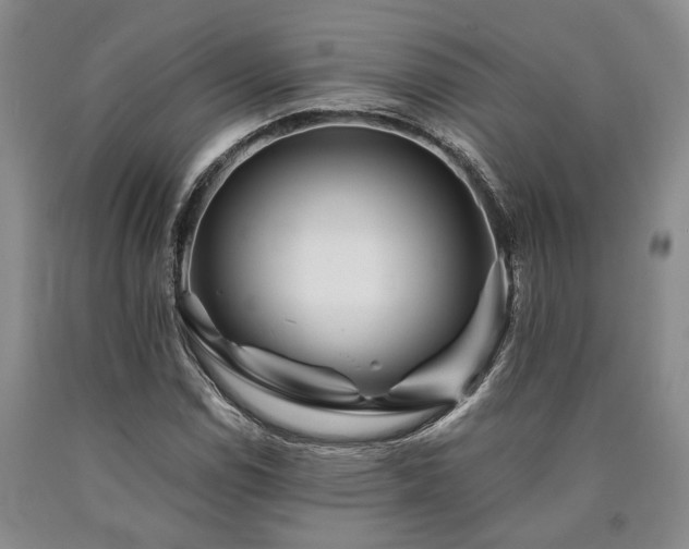 X0000090881114200707271305