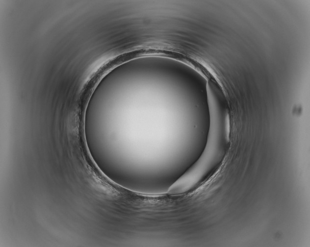 X0000090881115200707271305