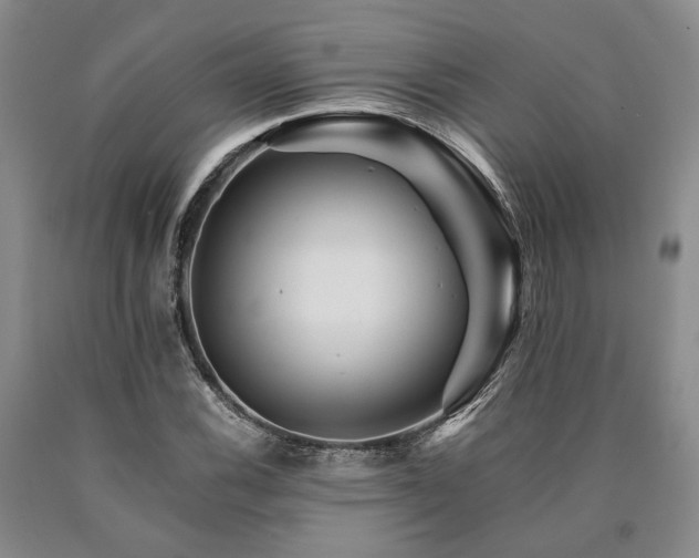 X0000090881116200707271305