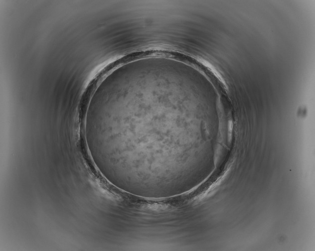 X0000090881117200707271305