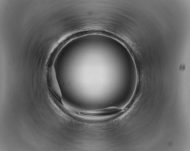 X0000090881118200707271305