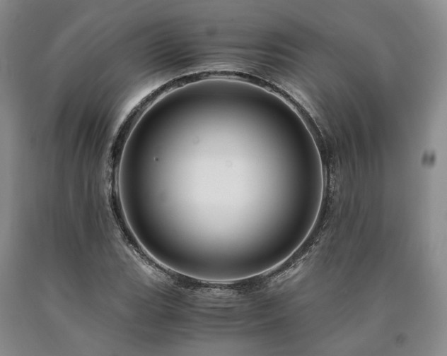 X0000090881119200707271306