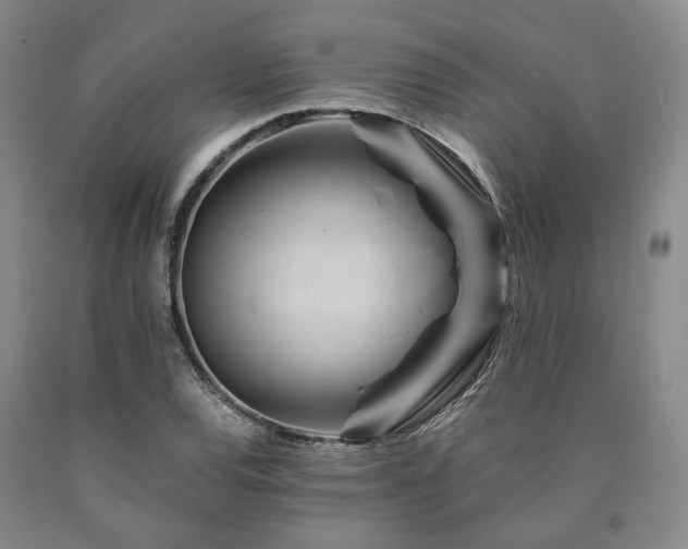 X0000090881120200707271306