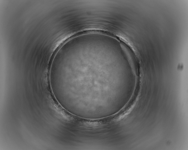X0000090881121200707271306