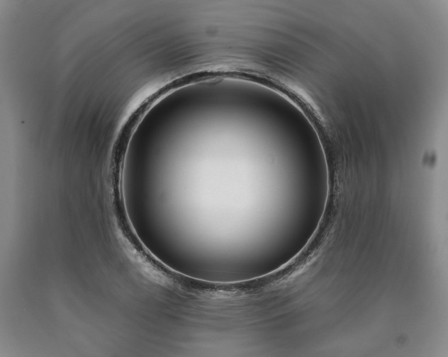 X0000090881122200707271306
