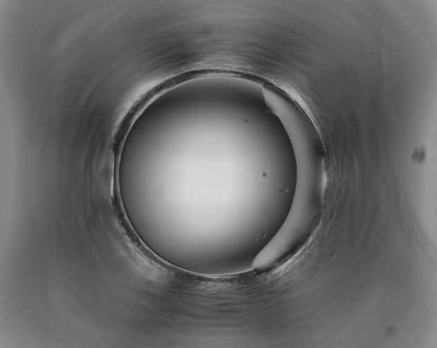 X0000090881123200707271306