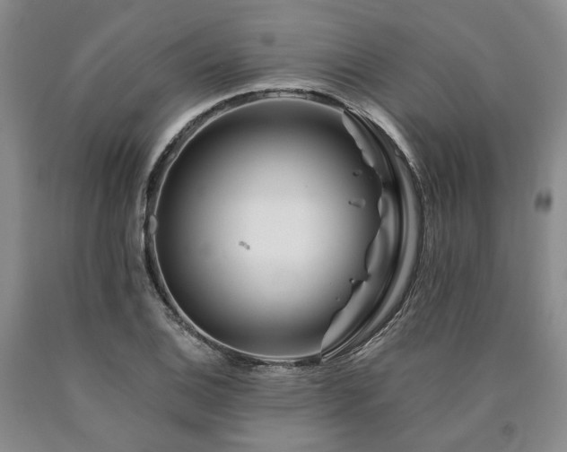 X0000090881124200707271306