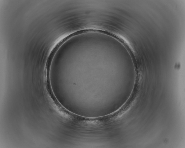 X0000090881125200707271306