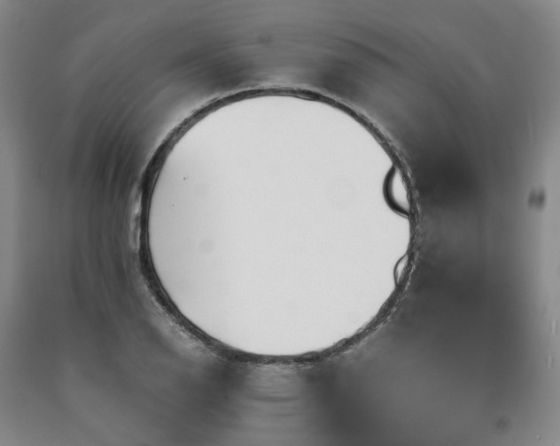 X0000090881126200707271306