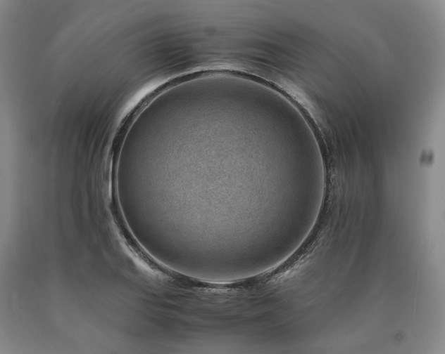 X0000090881127200707271306