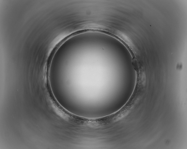 X0000090881128200707271306